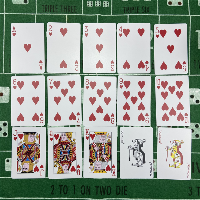新しいトランプ2枚セット。プラスチック製で防水性があり、テキ - Board Game Yearbook のレビューと価格